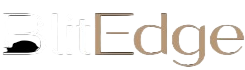 bliedge logo